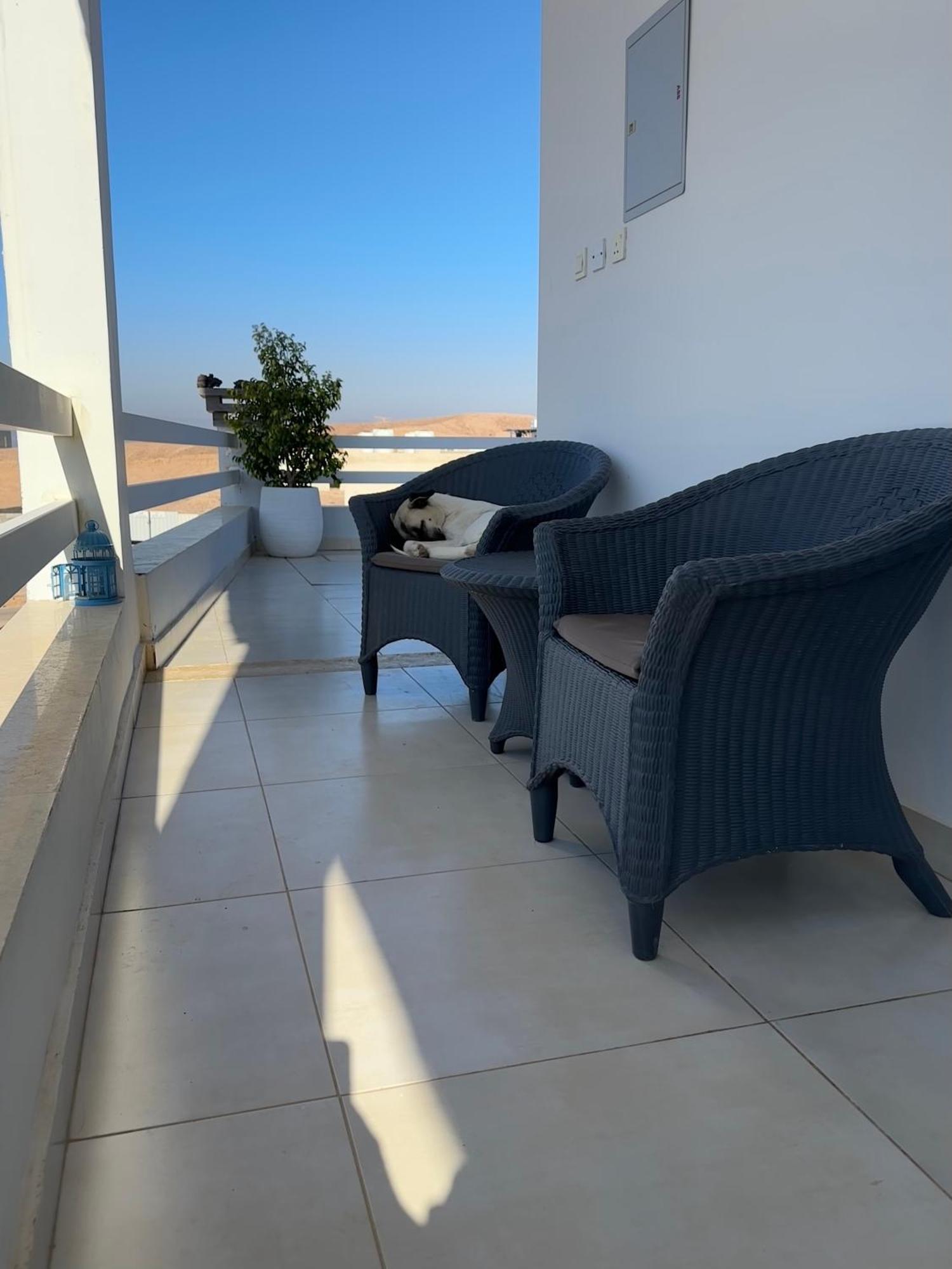 Aqaba Pro Divers Extérieur photo