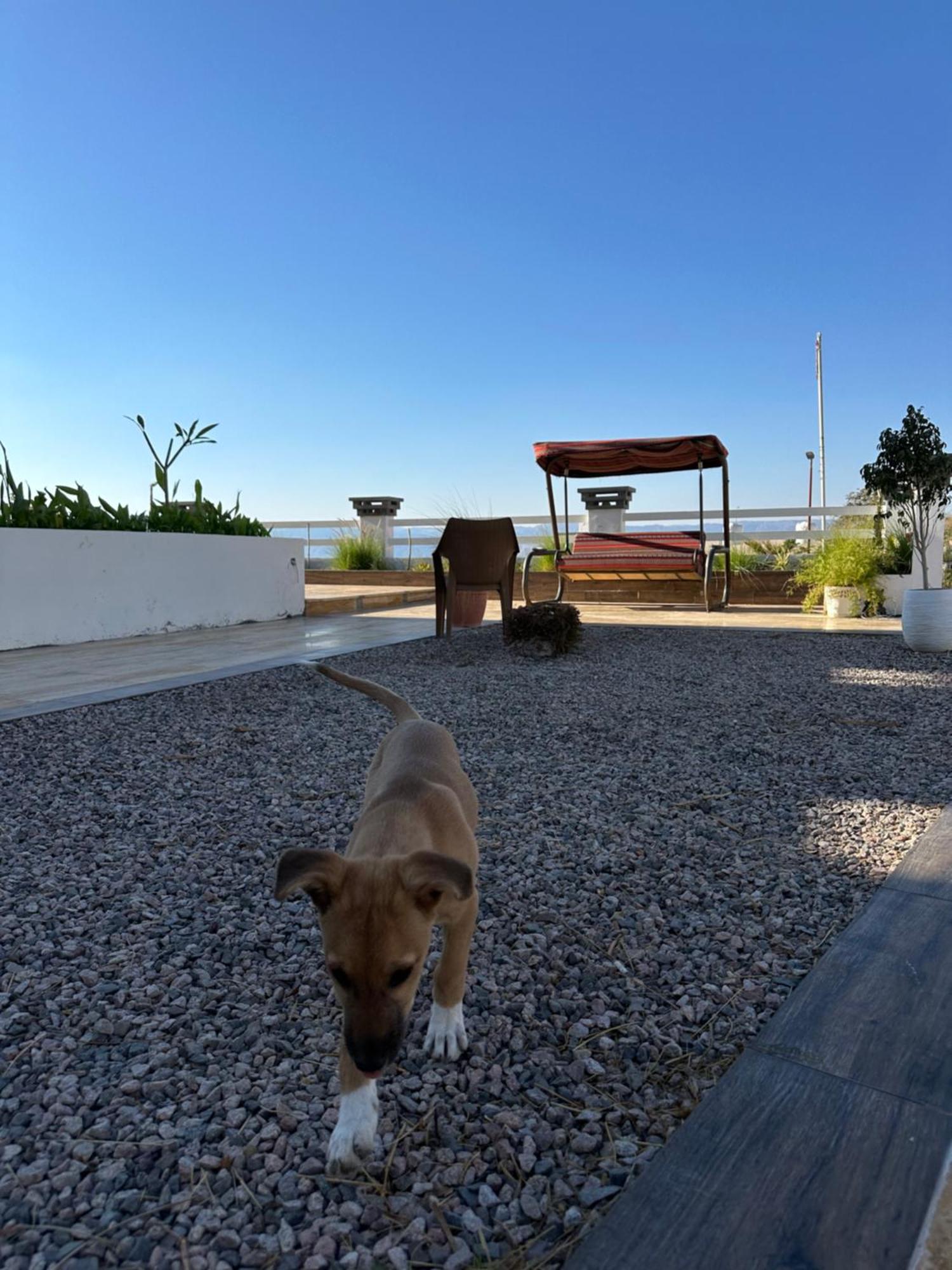 Aqaba Pro Divers Extérieur photo